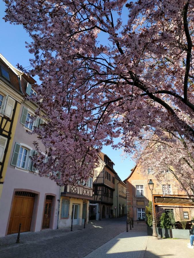 Au Brochet Colmar Exterior foto